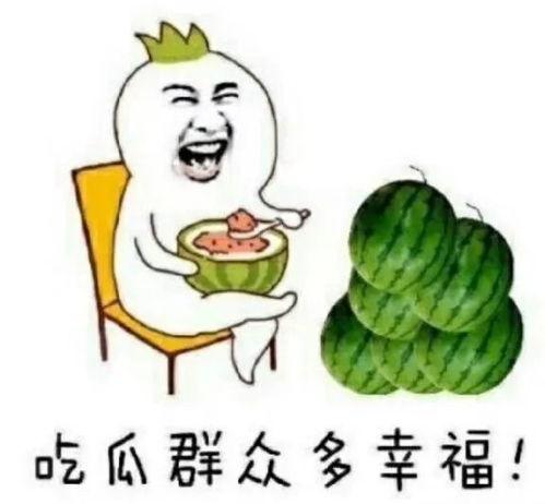 娱乐吃瓜全部
